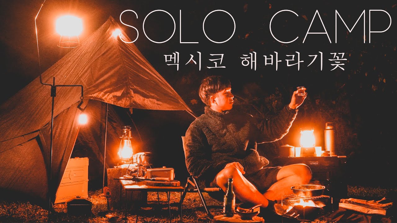 ( Solo Camping on Mexican Sunflower Mountain ) แคมป์ปิ้งทุ่งดอกบัวตอง ดอยแม่อูคอ | แม่ฮ่องสอน  ASMR
