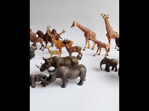 Animal Family Figurine Montessori Sensory | Tata Edutoys