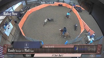 Big Sky Ranch Sorting Saddle Series #3 - #7 Sort - Round #1 - Ride #25