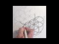 How To Draw The Flower Of Life
