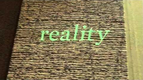 Interface FLOR Company Overview