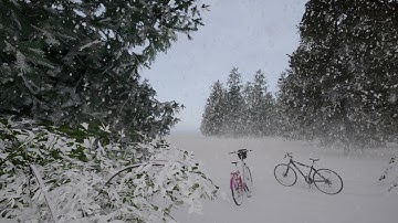 Free Stock Videos - winter scenery with bicycles snow falling and pine trees cloudy day 3D animation