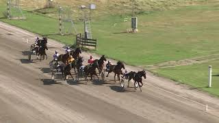 Vidéo de la course PMU PRIX FORDEL STON