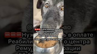 🆘🆘🆘Помогите оплатит 🔴🔴Реабилитационный центр Рему после ‼️операции на позвоночник