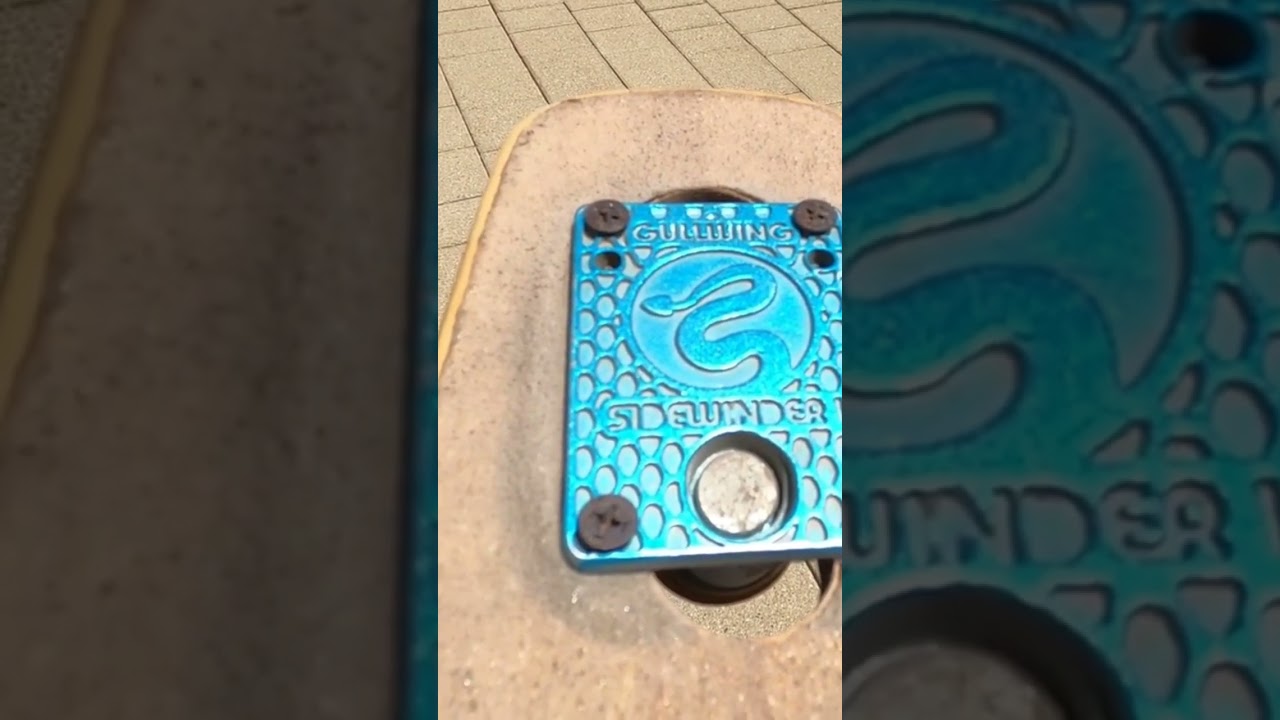 Gullwing Sidewinder vs Traditional Longboard Trucks: Which is Better for Your Riding Style?