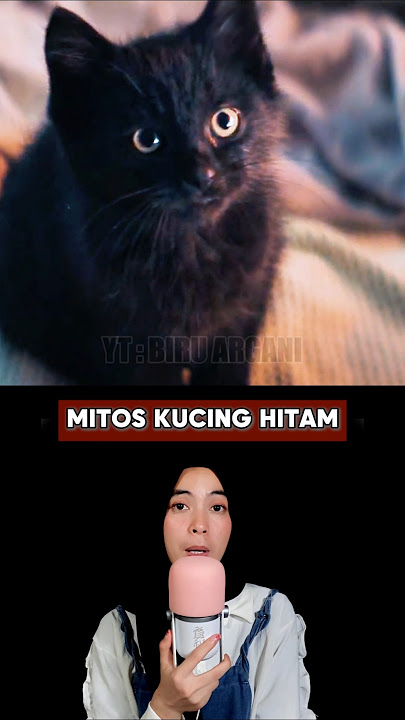 Kucing Hitam Yang Dianggap Membawa Nasib Sial Ternyata Membawa Keberuntungan