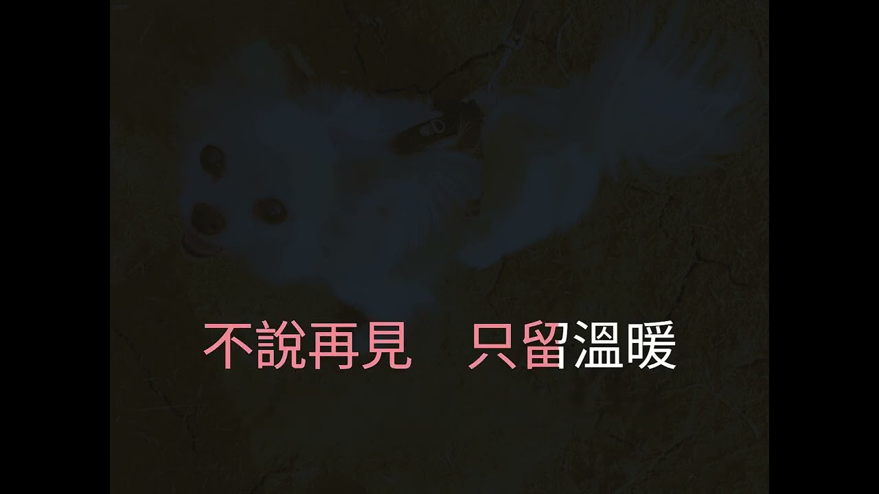 AI音樂 記念寵物回去#ai #aimusic