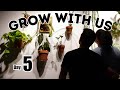 Daily Plant Vlog: BIG DRAGON TREE REPOT
