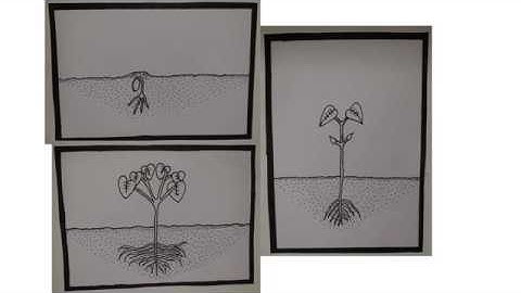 CAR10003 Assignment 3 Art Portfolio