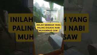INILAH SEDEKAH YANG PALING DISUKAI NABI MUHAMMAD SAW #shorts