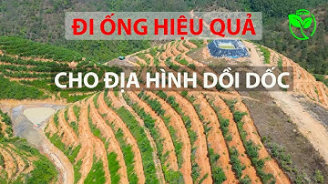 HỆ THỐNG TƯỚI SIÊU ĐỒI DỐC BÉC BÙ ÁP SẦU RIÊNG VNPLANT