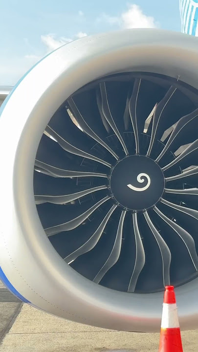 Boeing 737-800 NG engine 🆚 Boeing 737 MAX 8 engine #mx #aviation #boeing