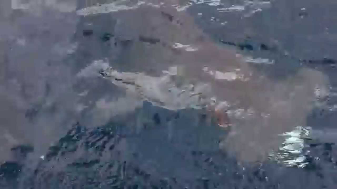 Hammerhead Shark Chases Bait YouTube