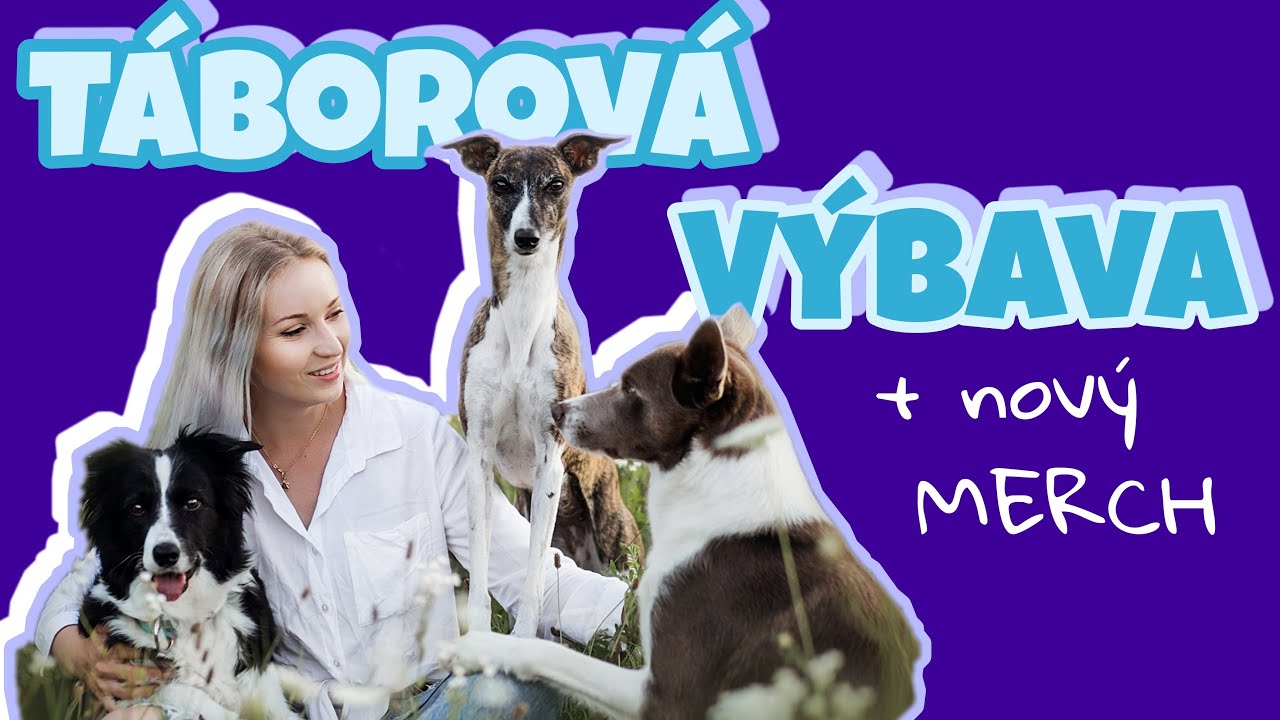 Moja TÁBOROVÁ VÝBAVA PRE PSY | čo si zbaliť na psí tábor?
