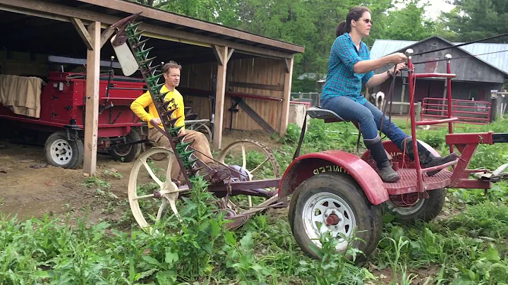 Horse Drawn Sickle Bar Mowing, Part 1: First Time ...