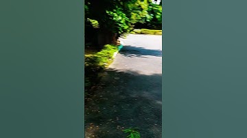 Mini vlog series day 8 of 75 days chalenge support #minivlog #shortvideo #viral