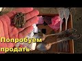 КОРОБКА С НАХОДКАМИ ИЗ ПРОШЛОГО.ВСЕ ПОСМОТРИМ.