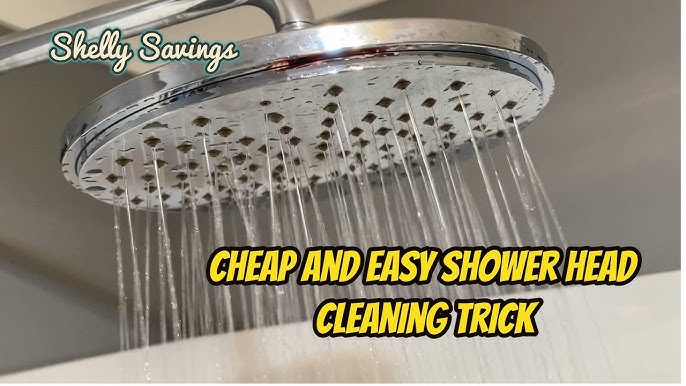 How to Clean a Showerhead: Multiple Methods with Photos