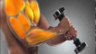Dubstep shake weight
