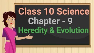 Class 10 Science Chapter 9 (Topic 9.2) Heredity Rules for the inheritance : Mendelian Dihybrid Cross