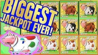 ✦► BIGGEST JACKPOT ◄✦ PLANET MOOLAH HANDPAY on YOUTUBE ✦ MASSIVE UNICOW BONUS w/ EZ Life Slots