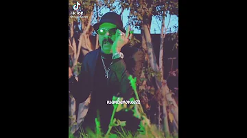 الدخول الرايق محمد سعد الليمبى 