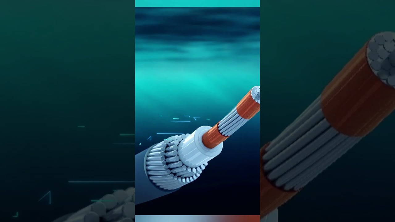The Submarine Communications Cables. #shorts #short #submarinecable #underwaterworld #internet