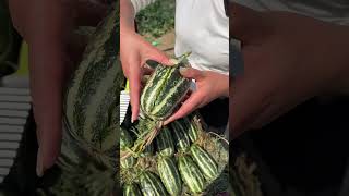 Fresh Fruit Nice Farm P017 #Shorts #Viral