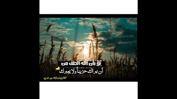 بعض من سورة يوسف بصوت القارئ /مبارك بن عبري💜