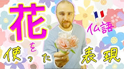 Tvフランス語 Youtube