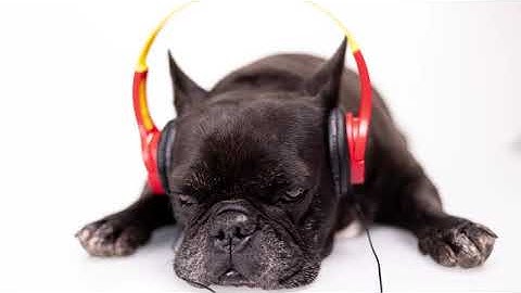 Discover VAIL Cast Universal Streaming Speaker Amplifier