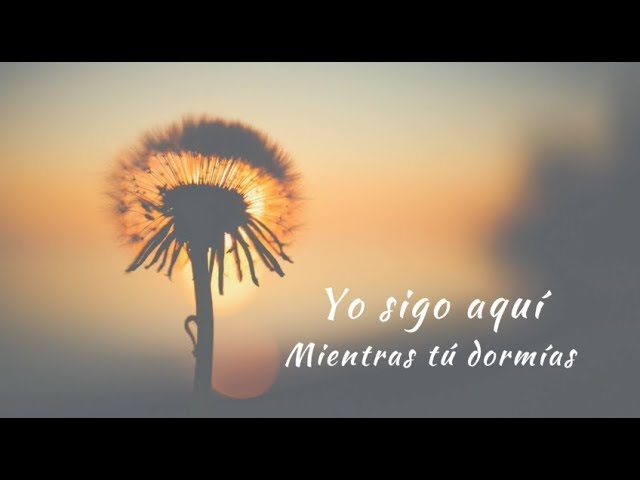 Watch Carla Morrison - Yo sigo aquí (letra) on YouTube