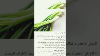 فوائد البصل الأخضر