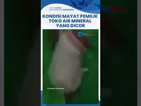 Video: Loteng Kecil Di Taipei Penuh Dengan Penyelesaian Spatial Sentiasa