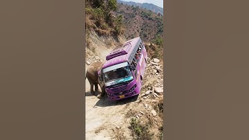 Elephant Pushes Bus Off Narrow Cliff Road | Shocking AI Jungle Scene | AI-Generated