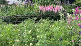 Garden Catch Up Late May