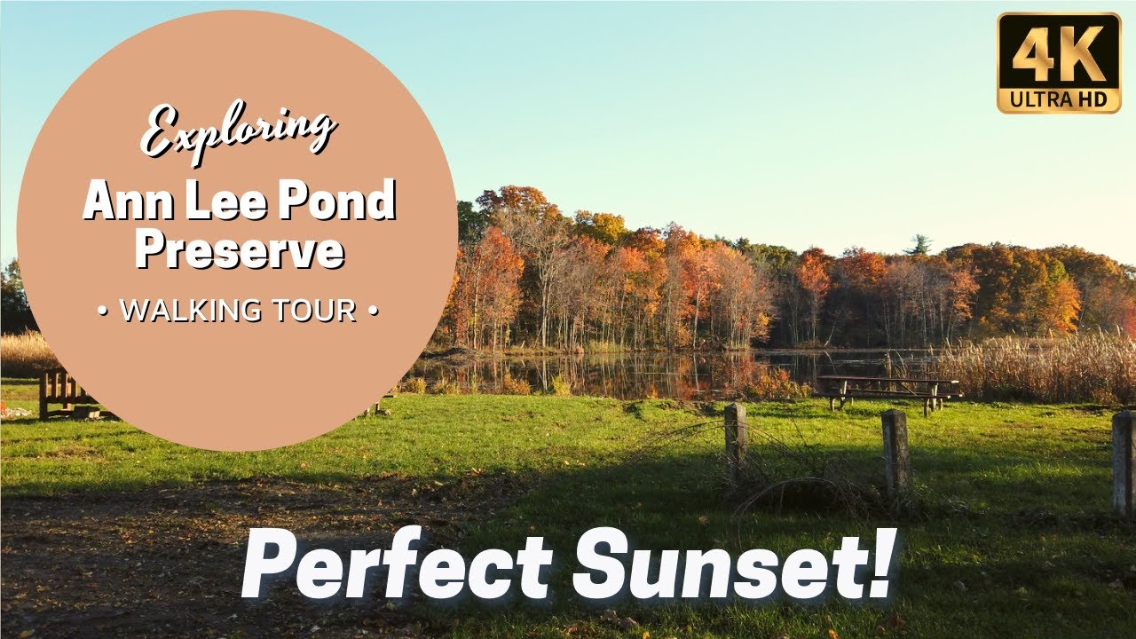 Ann Lee Pond Preserve in Albany NY Walking Tour YouTube