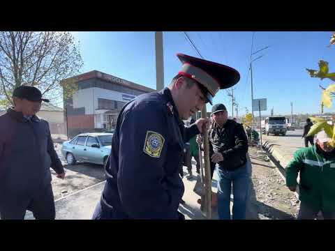 ✅Ош шаарына 1000 көчөт отургузулууда