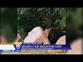 Juvenile mountain lion spotted near Weed, Mount Shasta areas