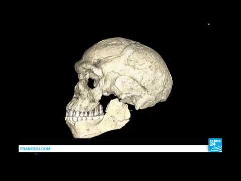 Discovery of oldest Homo sapiens in Morocco rewrites human history