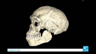 Archaeology: The discovery of oldest Homo sapiens in Morocco rewrites human history