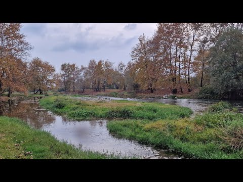 moglenitsas river-platanakia Kalis