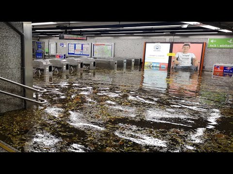 Video: Deplasarea în Madrid: Ghid pentru transportul public