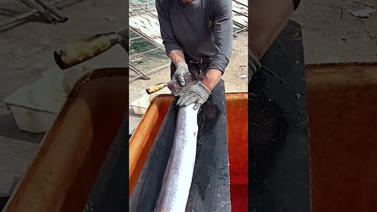 Master Fishmonger Handles a 5ft Conger Eel Like Butter 🐍🔪 