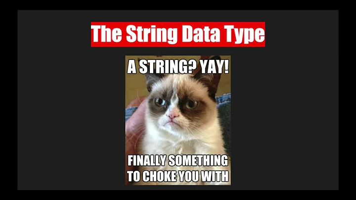 Learn to Code TypeScript   Data Types