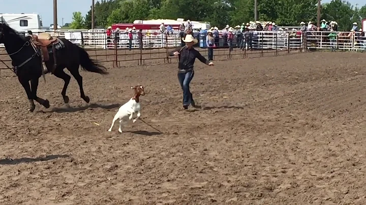 Jaylee Rodeo