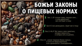 КАШРУТ В СВЕТЕ ТЕКСТОВ БИБЛИИ / 4K