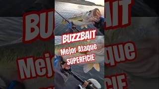 🔥Pescando SUPERFICIE con BuzzBait #anglermx #anglerstv #tipsdepesca #crushcity