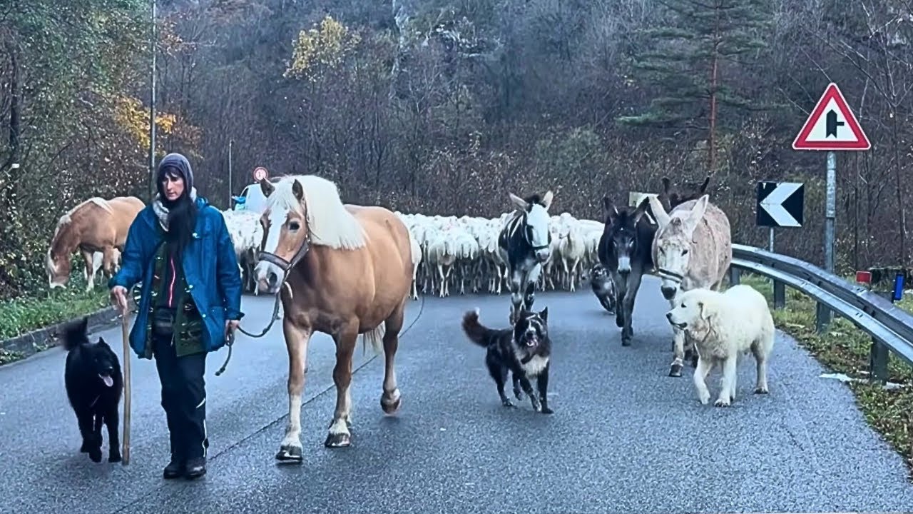 TRANSUMANDO… in poche parole?