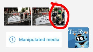 Tutorial - How to Use TinEye Identify A Doctored Image